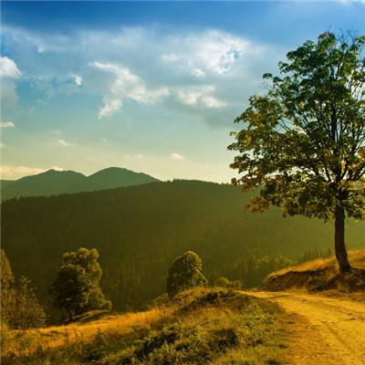 香港2023正版免费资料手机app下载